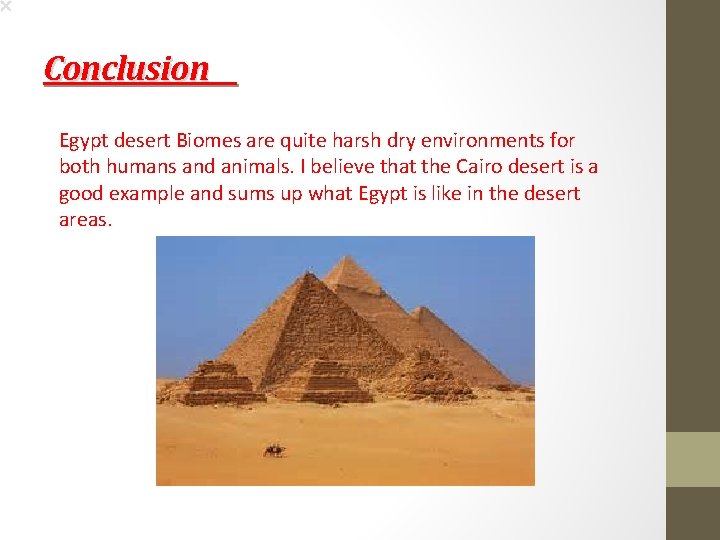 Conclusion Egypt desert Biomes are quite harsh dry environments for both humans and animals.