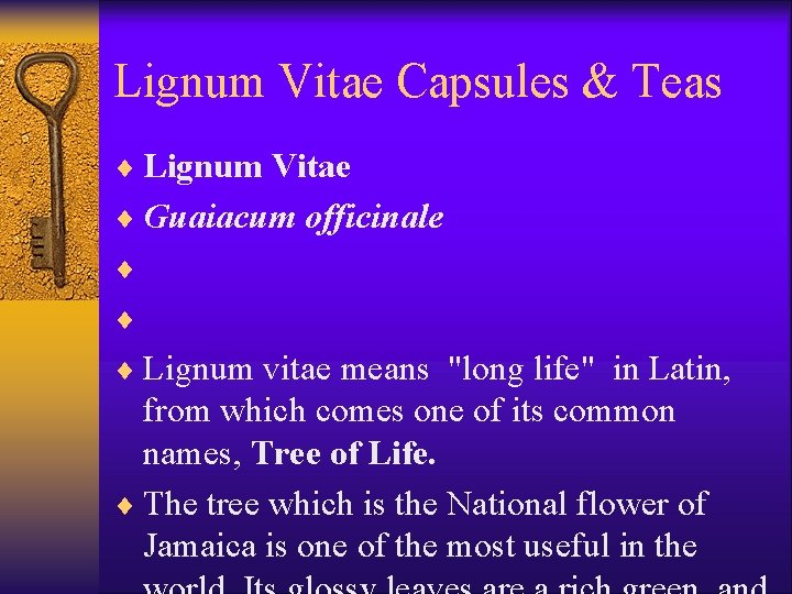 Lignum Vitae Capsules & Teas ¨ Lignum Vitae ¨ Guaiacum officinale ¨ ¨ ¨