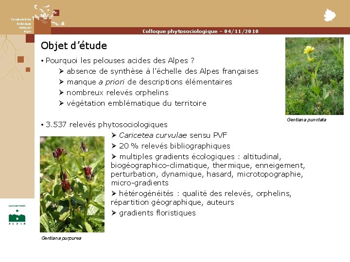 Conservatoire Botanique National Alpin Colloque phytosociologique – 04/11/2010 Objet d’étude • Pourquoi les pelouses