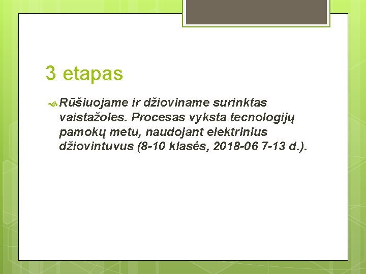 3 etapas Rūšiuojame ir džioviname surinktas vaistažoles. Procesas vyksta tecnologijų pamokų metu, naudojant elektrinius