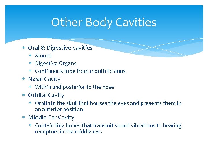 Other Body Cavities Oral & Digestive cavities Mouth Digestive Organs Continuous tube from mouth
