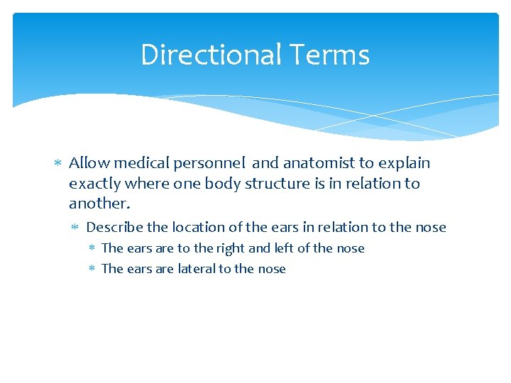 Directional Terms Allow medical personnel and anatomist to explain exactly where one body structure