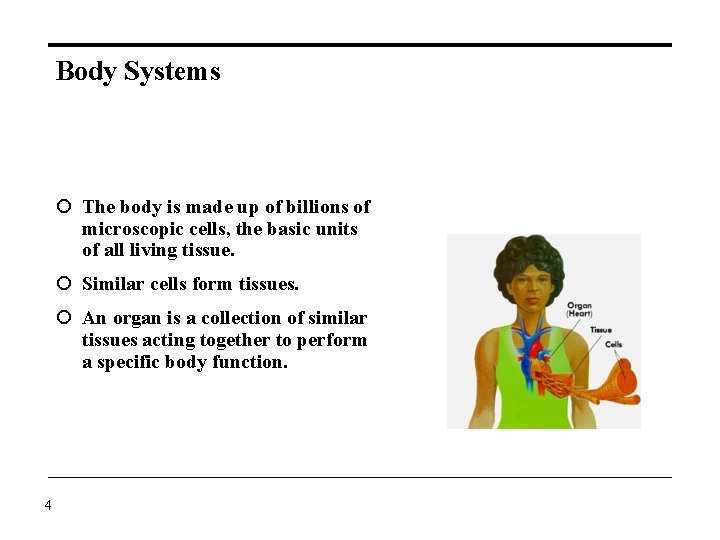Body Systems The body is made up of billions of microscopic cells, the basic