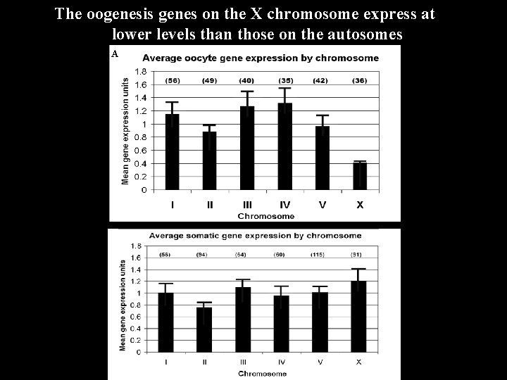 The oogenesis genes on the X chromosome express at lower levels than those on