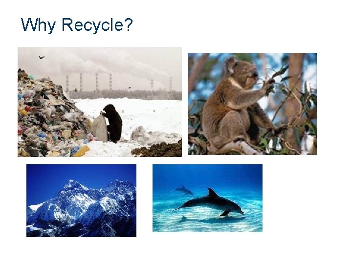 Why Recycle? 