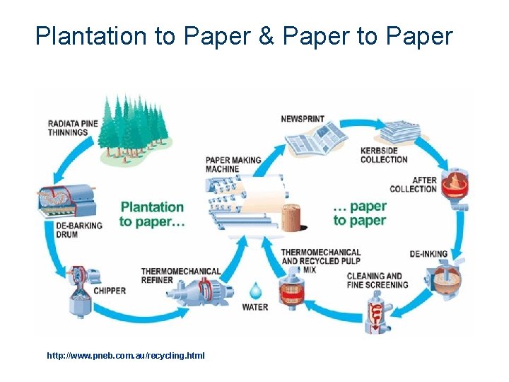 Plantation to Paper & Paper to Paper http: //www. pneb. com. au/recycling. html 