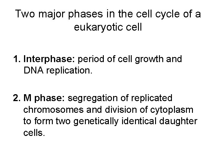 Two major phases in the cell cycle of a eukaryotic cell 1. Interphase: period