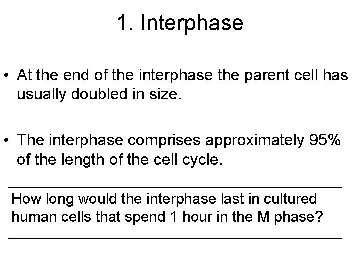 1. Interphase • At the end of the interphase the parent cell has usually