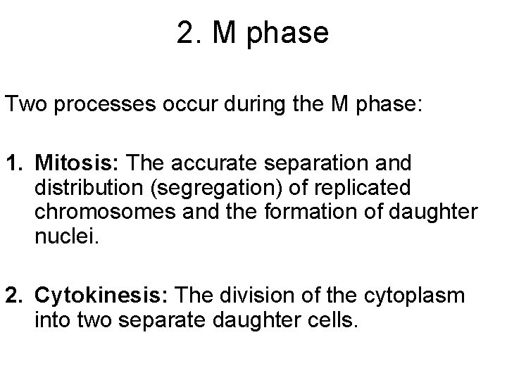2. M phase Two processes occur during the M phase: 1. Mitosis: The accurate