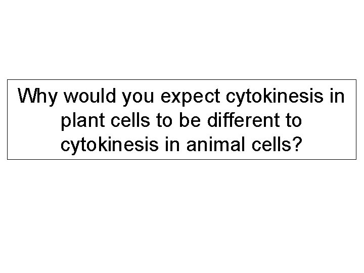 Why would you expect cytokinesis in plant cells to be different to cytokinesis in