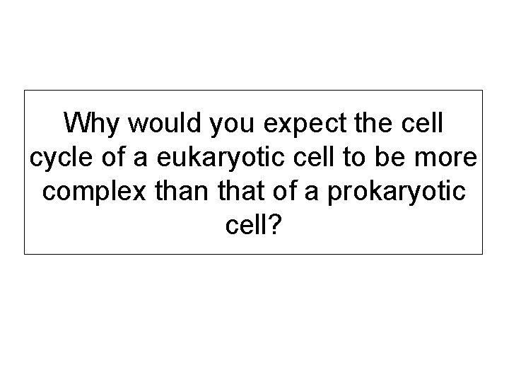 Why would you expect the cell cycle of a eukaryotic cell to be more