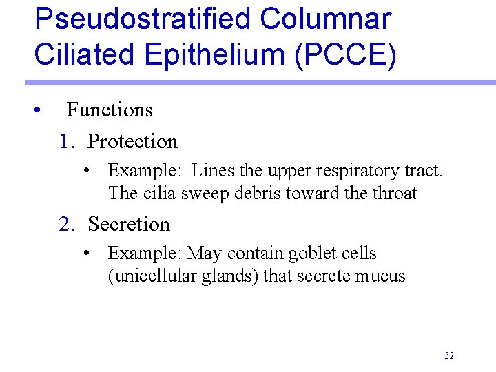 Pseudostratified Columnar Ciliated Epithelium (PCCE) • Functions 1. Protection • Example: Lines the upper