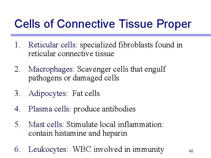 Cells of Connective Tissue Proper 1. Reticular cells: specialized fibroblasts found in reticular connective