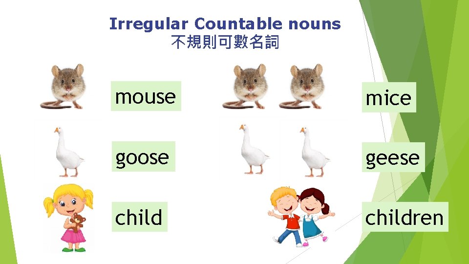 Irregular Countable nouns 不規則可數名詞 mouse mice goose geese children 