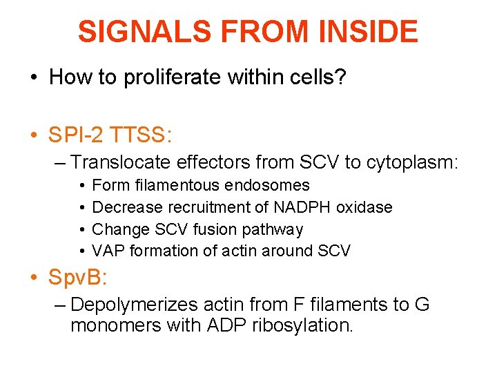 SIGNALS FROM INSIDE • How to proliferate within cells? • SPI-2 TTSS: – Translocate