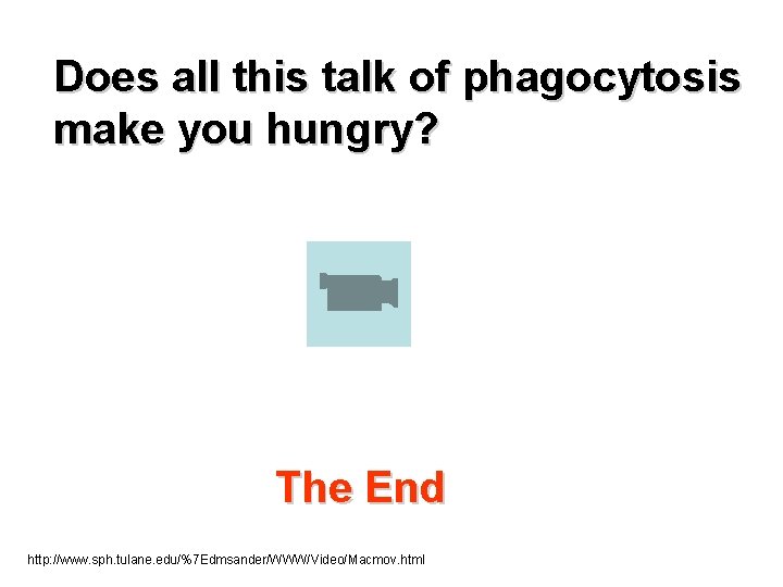 Does all this talk of phagocytosis make you hungry? The End http: //www. sph.
