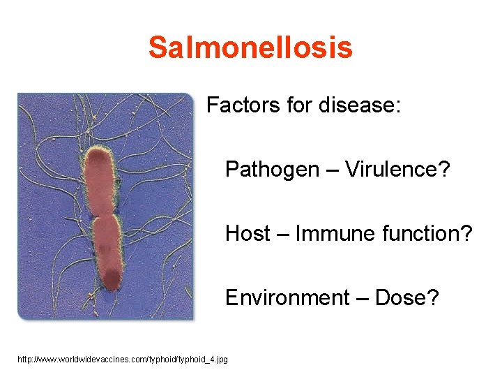 Salmonellosis Factors for disease: Pathogen – Virulence? Host – Immune function? Environment – Dose?