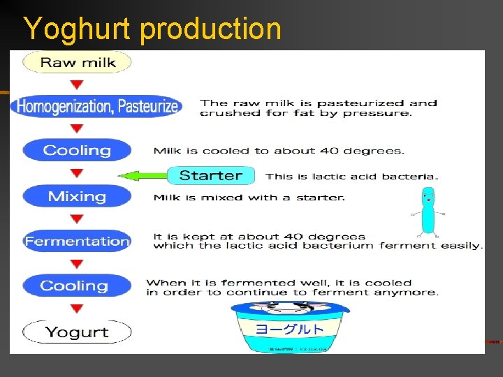 Yoghurt production 