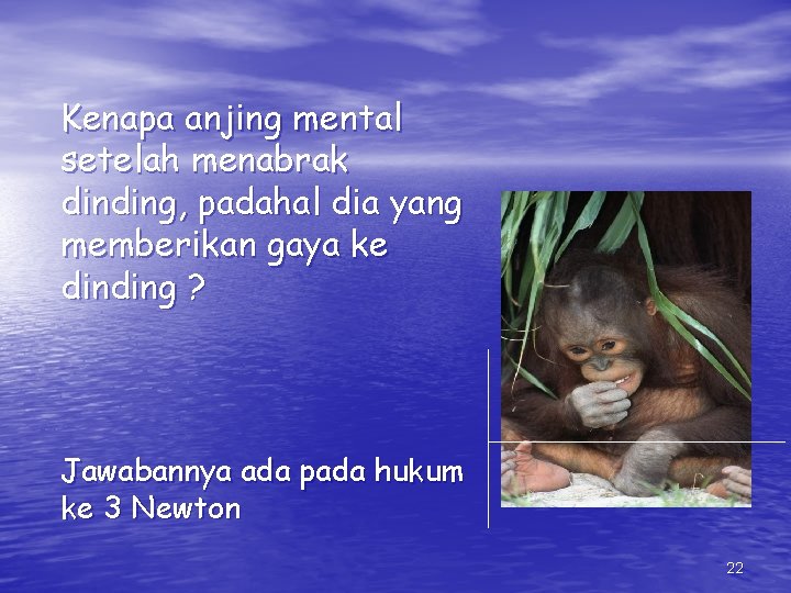 Kenapa anjing mental setelah menabrak dinding, padahal dia yang memberikan gaya ke dinding ?