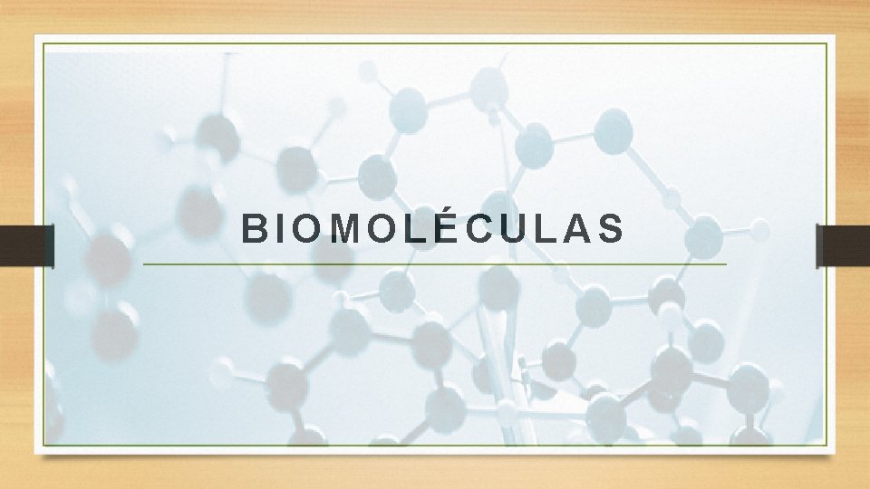 BIOMOLÉCULAS 