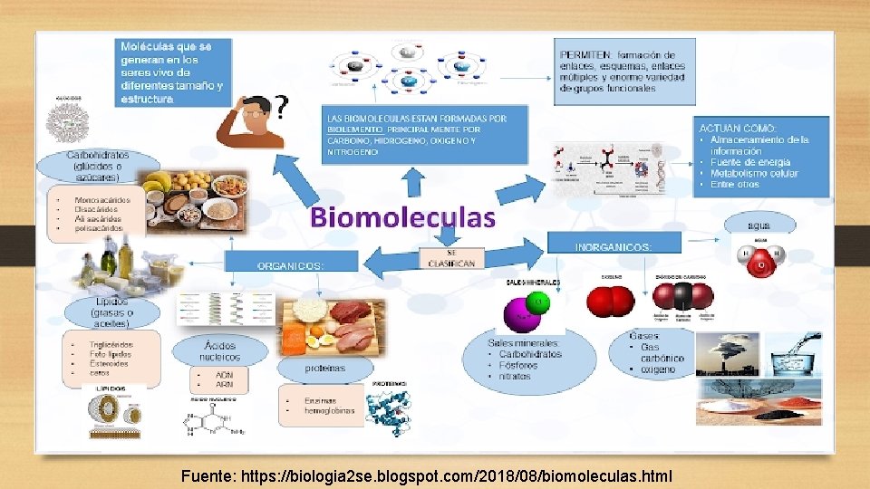 Fuente: https: //biologia 2 se. blogspot. com/2018/08/biomoleculas. html 