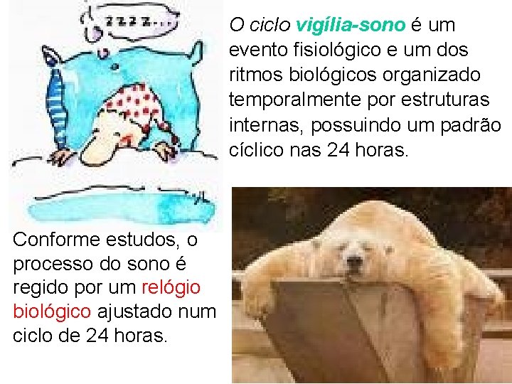 O ciclo vigília-sono é um evento fisiológico e um dos ritmos biológicos organizado temporalmente