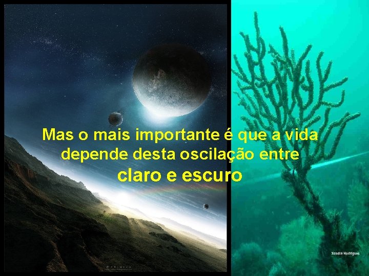 Mas o mais importante é que a vida depende desta oscilação entre claro e