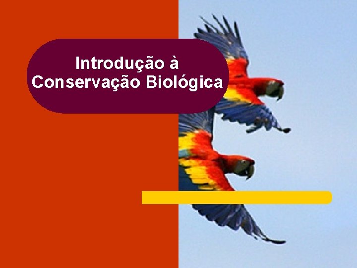 Introdução à Conservação Biológica 