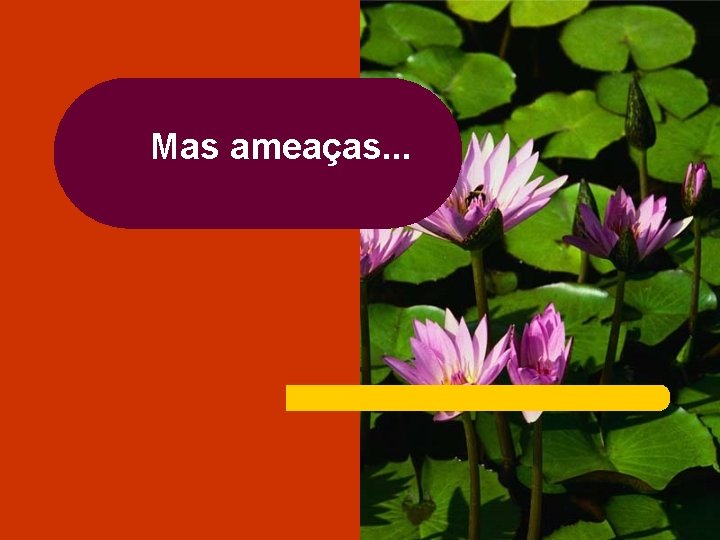 Mas ameaças. . . 