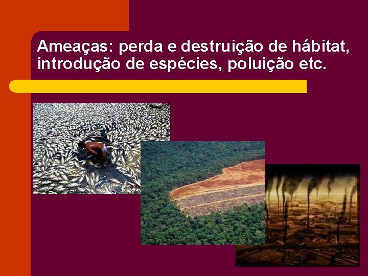 Ameaças: perda e destruição de hábitat, introdução de espécies, poluição etc. 
