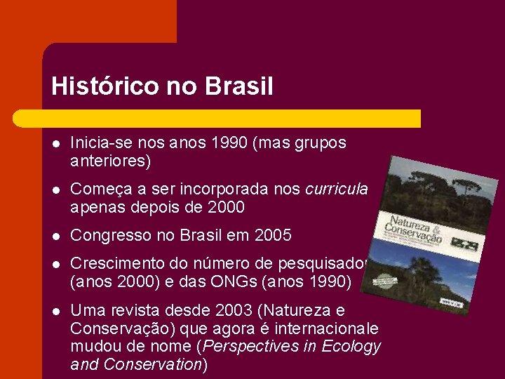 Histórico no Brasil l Inicia-se nos anos 1990 (mas grupos anteriores) l Começa a