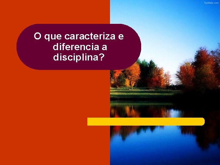 O que caracteriza e diferencia a disciplina? 