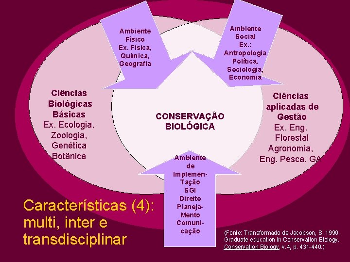 Ambiente Social Ex. : Antropologia Política, Sociologia, Economia Ambiente Físico Ex. Física, Química, Geografia