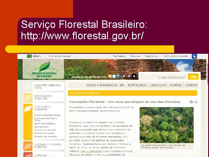 Serviço Florestal Brasileiro: http: //www. florestal. gov. br/ 