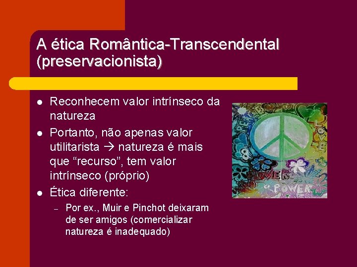 A ética Romântica-Transcendental (preservacionista) l l l Reconhecem valor intrínseco da natureza Portanto, não