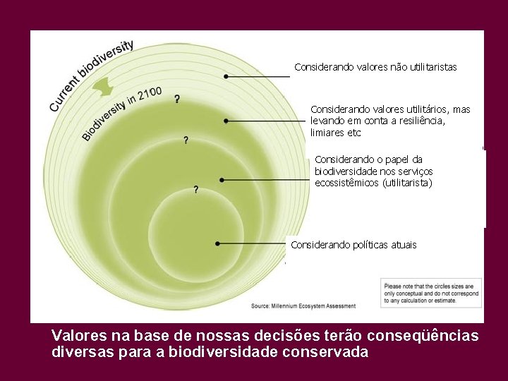 Considerando valores não utilitaristas Considerando valores utilitários, mas levando em conta a resiliência, limiares