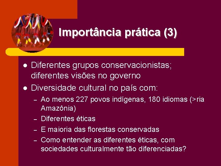 Importância prática (3) l l Diferentes grupos conservacionistas; diferentes visões no governo Diversidade cultural
