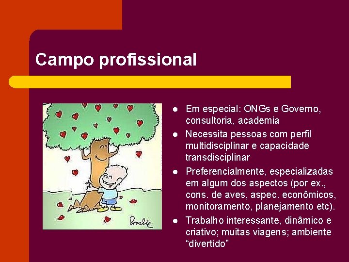 Campo profissional l l Em especial: ONGs e Governo, consultoria, academia Necessita pessoas com