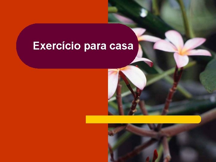 Exercício para casa 