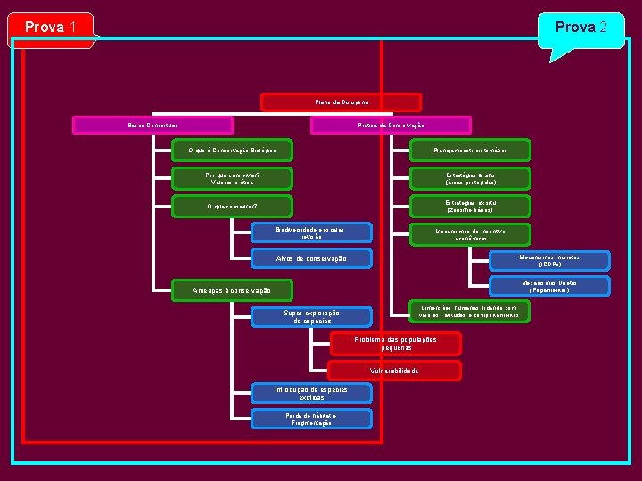 Prova 1 Prova 2 Plano da Disciplina Bases Conceituais Prática da Conservação O que