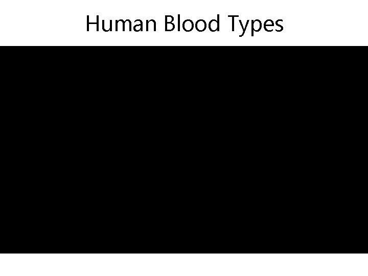 Human Blood Types 