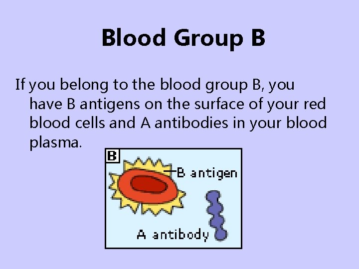 Blood Group B If you belong to the blood group B, you have B