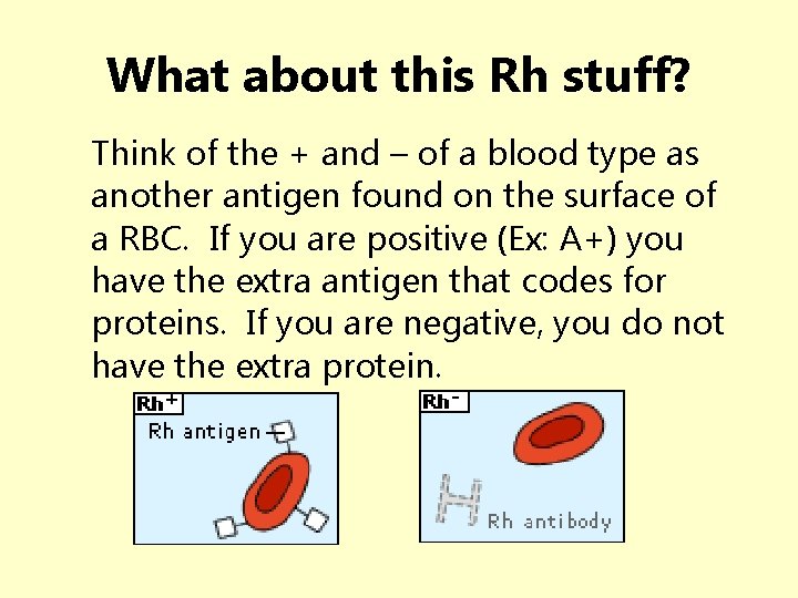 What about this Rh stuff? Think of the + and – of a blood