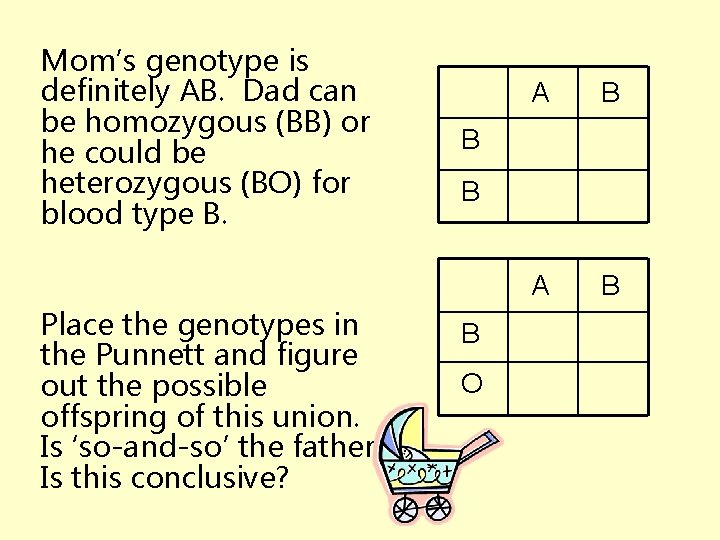 Mom’s genotype is definitely AB. Dad can be homozygous (BB) or he could be