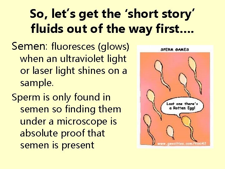 So, let’s get the ‘short story’ fluids out of the way first…. Semen: fluoresces