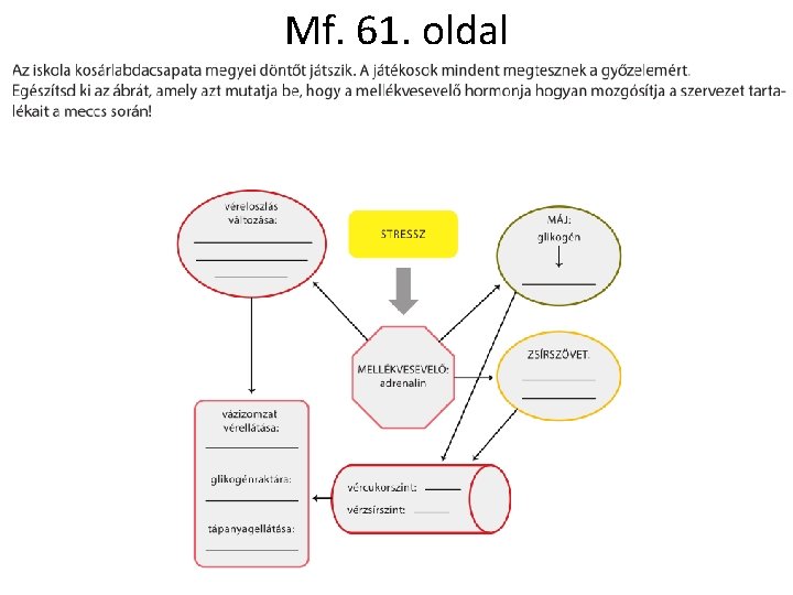 Mf. 61. oldal Mf. 61. oldal