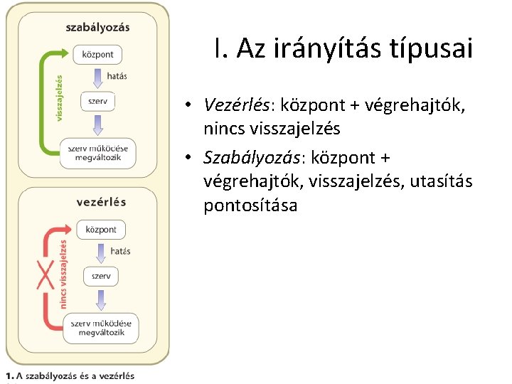 I. Az irányítás típusai • Vezérlés: központ + végrehajtók, nincs visszajelzés • Szabályozás: központ I. Az irányítás típusai • Vezérlés: központ + végrehajtók, nincs visszajelzés • Szabályozás: központ
