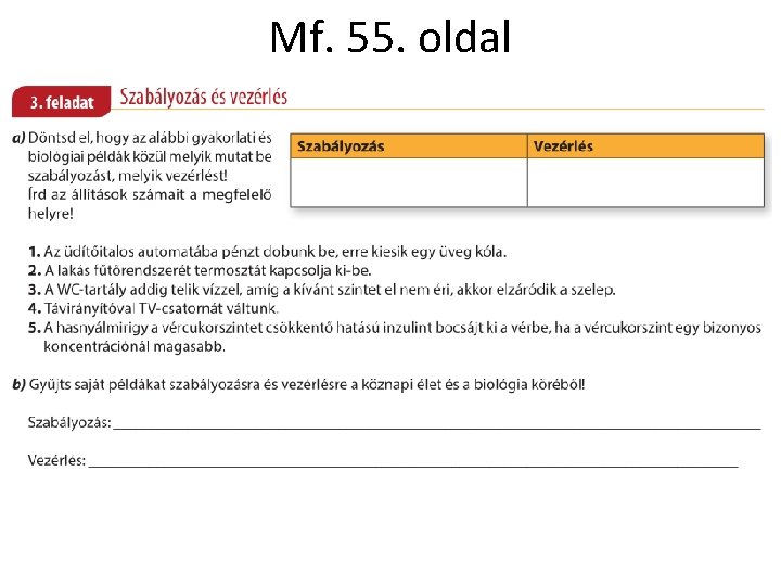 Mf. 55. oldal Mf. 55. oldal