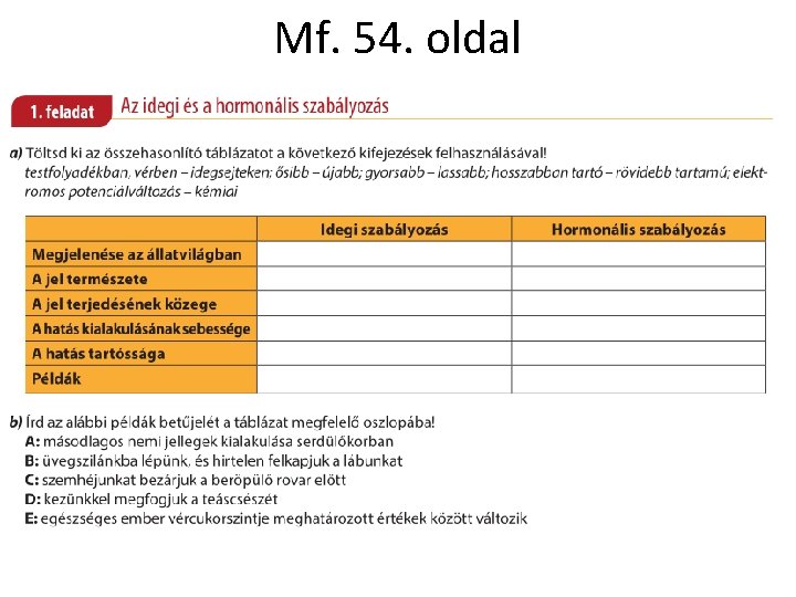 Mf. 54. oldal Mf. 54. oldal