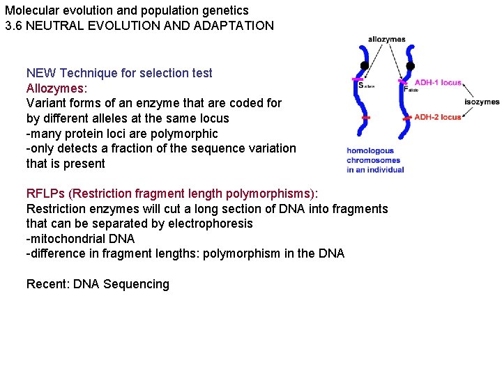 Molecular evolution and population genetics 3. 6 NEUTRAL EVOLUTION AND ADAPTATION NEW Technique for